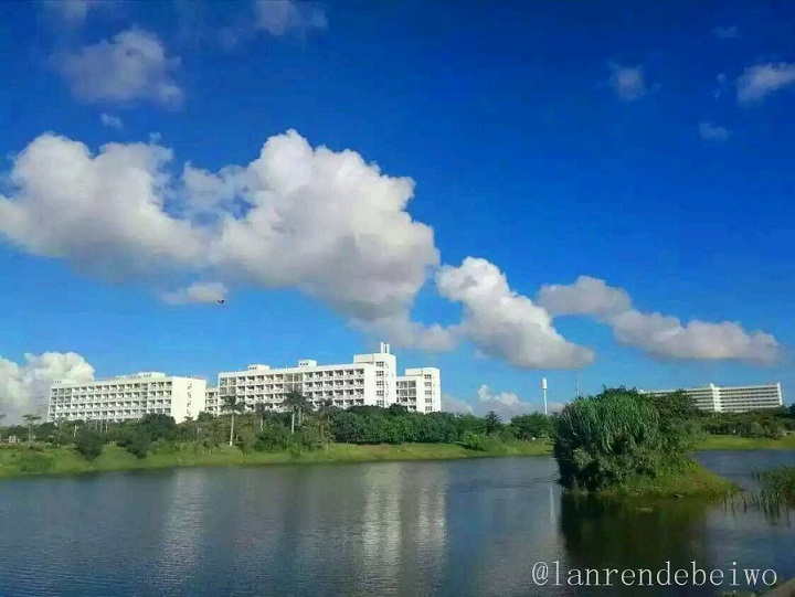 65019793065440744.jpg 65019793065440744.jpg