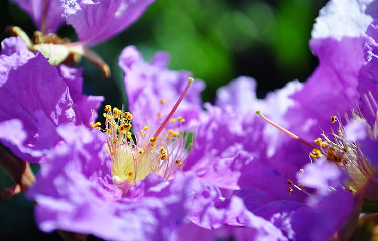 DSC_0410.jpg DSC_0410.jpg