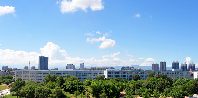 DSC_0383.jpg DSC_0383.jpg