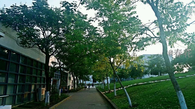 499422124729295261.jpg 499422124729295261.jpg